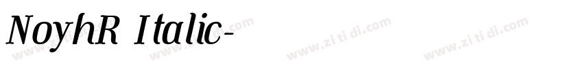NoyhR Italic字体转换 NoyhR Italic字体转换